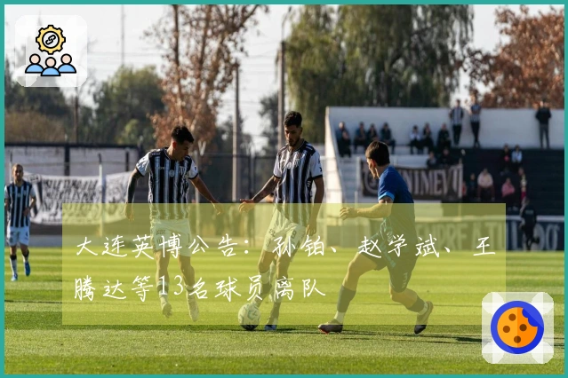 大连英博公告：孙铂、赵学斌、王腾达等13名球员离队