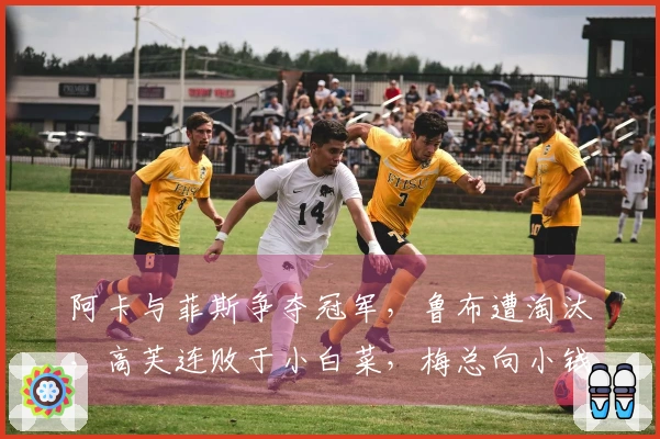 阿卡与菲斯争夺冠军，鲁布遭淘汰，高芙连败于小白菜，梅总向小钱示好